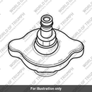 Radiator Pressure Test (T3880176)