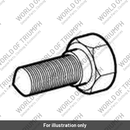 Puller, Alternator Rotor (T3880200)
