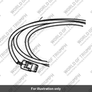 Extension Cable, Fuel Pump (T3880507)