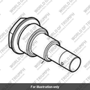 Timing Chain Tensionser (T3880651)