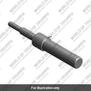 Camshaft Timing Pin (T3880676)