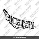 Badge, Tank, RH, Type C (T3900087)