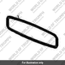 Badge (T3900276)