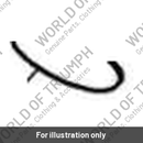 Badge (T3900452)