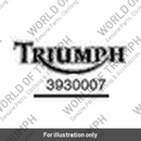 Label, Purge Hose, 909 EFI (T3930007)
