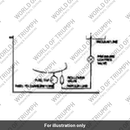 Label (T3930085)
