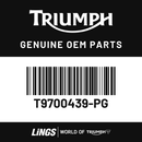 Mudguard, Rear, Acc, Painted (T9700439-PG) barcode