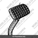 Brake Pedal (T9770193)