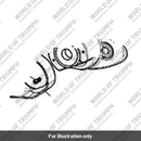 Frame Protector, Locator (T9780049)