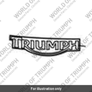 Tank Badge, Wordmark, Black (T9790076)