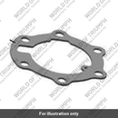 Fuel Pump Plate (TA171811)