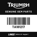 Extension Cover, Side, RH (TA181217) barcode