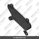 Mesh, LH (TA181234)