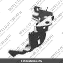 Cover, Coil Ignition (TA351212)
