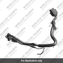 Cable, Harness (TA402287)