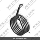 Spring, Torsion (TA561210)
