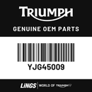 Front Brake Pad Kit, Sint Cham (YJG45009) barcode