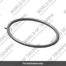 Fuel Pump Seal (YTA04028)