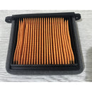 T2206530 | Air Filter LHS