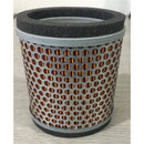 T2209547 | Air Filter